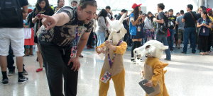 Anime Expo | Los Angeles Anime Convention