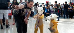 Anime Expo | Los Angeles Anime Convention